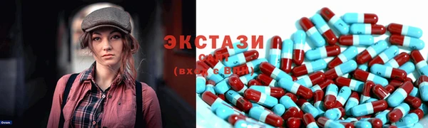 ECSTASY Богданович