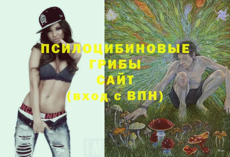 Галлюциногенные грибы Cubensis  Белебей 