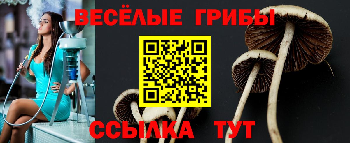  COCAIN Белебей