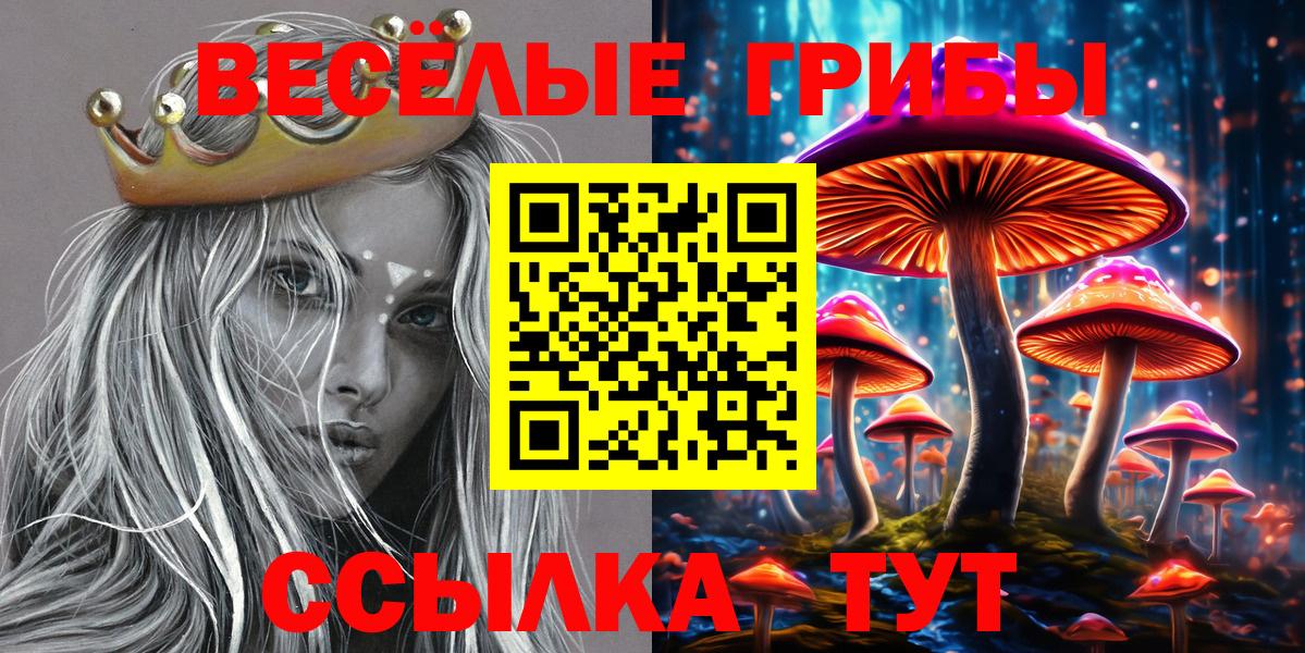 Псилоцибиновые грибы MAGIC MUSHROOMS Белебей
